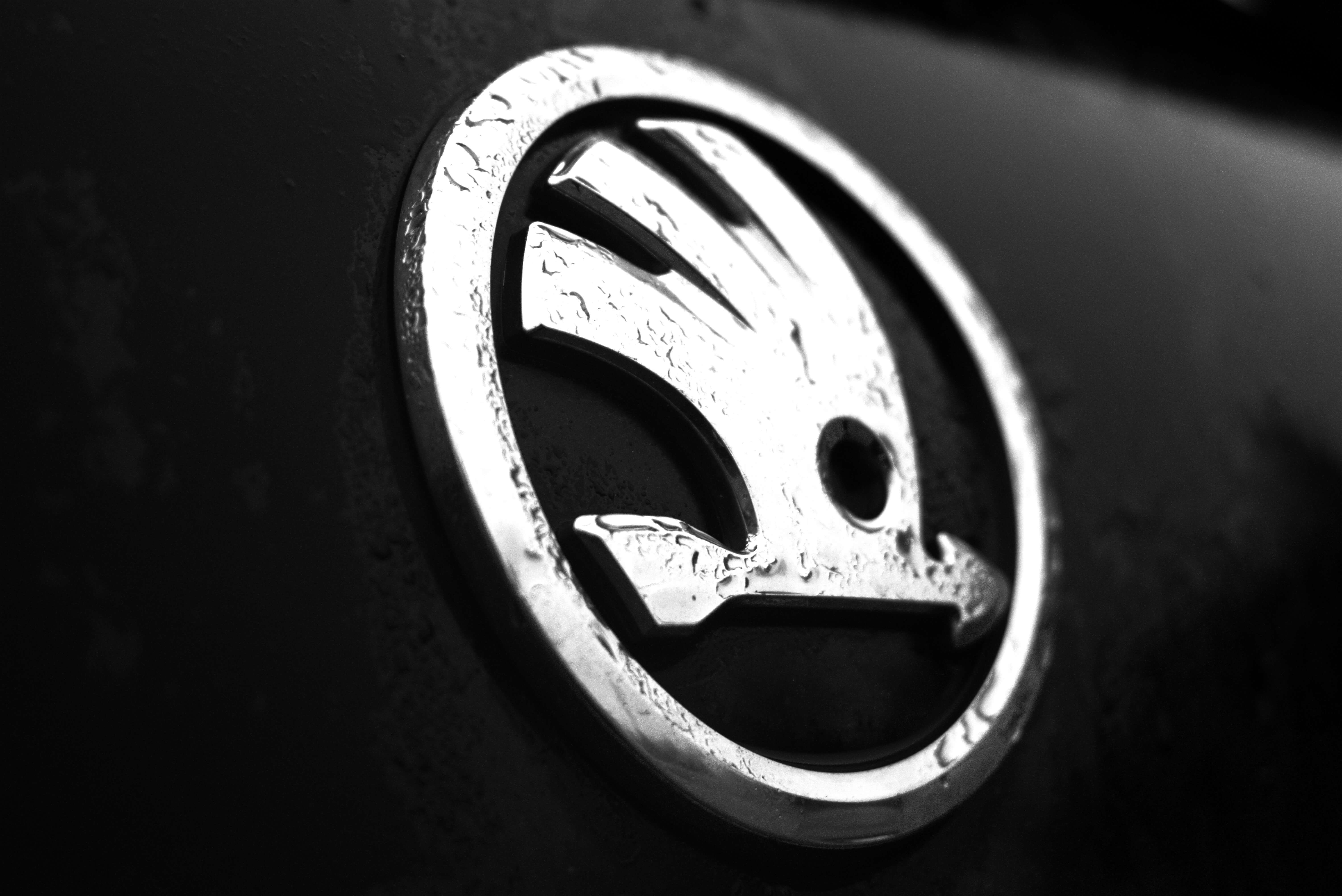 Skoda Logo/Emblem Neu komplett schwarz?